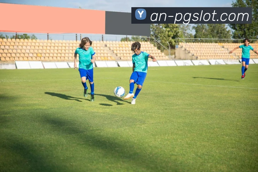 PG麻将胡了官网平台生态图